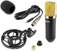 MICROFONO CONDENSATORE DA STUDIO A DIAFRAMMA PROFESSIONALE YOUTUBER + RAGNO