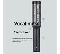 Microfono Da Conferenza Microfono A Condensatore Registrazione Intervista