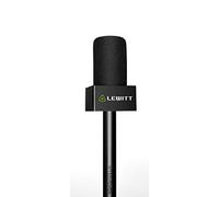 Lewitt Interviewer