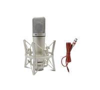 Microfono da Studio Professionale un Condensatore nel Metallo, per Giochi per Computer, Registrazione, Canto, Podcast, Scheda Audio