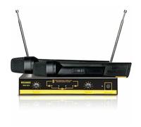 Microfono Dual Channel Wireless WM-06V Professionale Senza Fili Canto