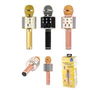 Microfono Karaoke Bluetooth Portatile Holliwood con Comandi ed Efx 27837