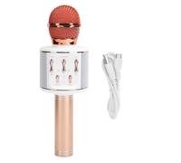 Microfono karaoke wireless con altoparlante e registratore vocale integrati, microfono karaoke Bluetooth per bambini e adulti con comandi
