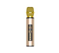 Microfono Karaoke Wireless TWS con Altoparlante Microfono per Canto per Feste un Casa per Bambini-Oro