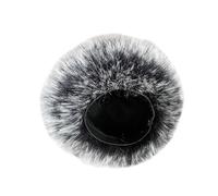 Microfono Parabrezza Filtro Microfono Parabrezza Per H4essential Portatile Recorder Mic Copre Venti Schiuma Portatile Recorder Cover