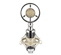 Microfono Professionale da Studio di Registrazione a condensatore per trasmissioni Live Adatto per Studio Audio con Voce Fuori Campo