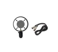 Microfono Retrò Vintage, Modello Classico, Microfono A Condensatore per Riprese Video, Accessorio per Fotografia da Palcoscenico
