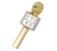 Microfono Wireless Microfono Bluetooth con Corpo in Metallo ABS Altoparlante da 5 W Luci a LED Cambio Vocale 2400 MAh Ricaricabile per Karaoke Party Riunioni Spettacoli