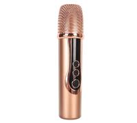 Microfono Wireless Portatile, Microfono Wireless 2.4G con Riduzione del Rumore Ad Alta sensibilità Riverbero a un Pulsante per la Festa (1 a 1)