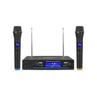 Microfono Wireless Professionale A 2 Canali, Karaoke Portatile For Riunioni Di Feste, Spettacoli In Chiesa, Casa Riproduzione Chiara Del Suono