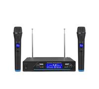 Microfono Wireless Professionale A 2 Canali, Microfono Karaoke Portatile For Riunioni Di Feste, Spettacoli In Chiesa, Casa
