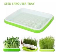 Microgreens Vassoio Idroponico/Germinazione for Bean Sprouts Verde Seconda Fili