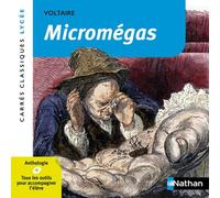 Micromégas
