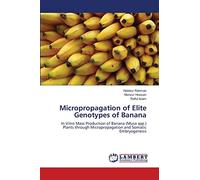 Micropropagation of Elite Genotypes of Banana: In Vitro Mass Production of Banana (Musa spp.) Plants through Micropropagation and Somatic Embryogenesis