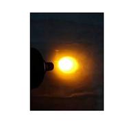 Microscopio Fonte della luce coassiale del microscopio, luminosità della lampada regolabile 9 0V-240V LED Individuare(Brown)