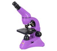 Microscopio Levenhuk Rainbow 50L Ametista Ingrandimento 800x Kit Educativo