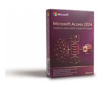 MICROSOFT VISIO PROFESSIONAL 2024 (WINDOWS)