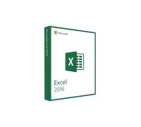 MICROSOFT EXCEL 2016 (WINDOWS)