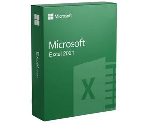 Microsoft Excel 2021 a VITA