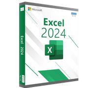 Microsoft Excel 2024