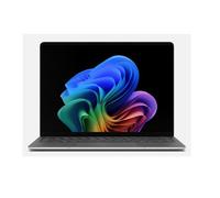 Microsoft LP5G 13.8 C5/32/256 PLAT 0196388565269