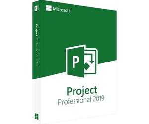 Microsoft Project 2019 Professional