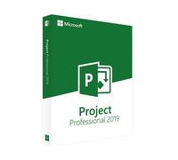 PROJECT 2019 PROFESSIONAL ACTIVATION KEY - (PC) - Licenza A Vita
