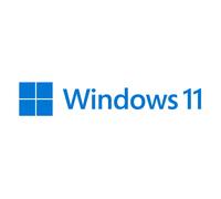 Microsoft Windows 11 Pro 1 licenza/e