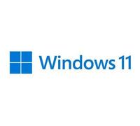 Microsoft Windows 11 Pro 1 licenza/e