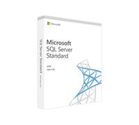 Microsoft SQL Server 2019 Standard User CAL Licenza di accesso utente che consente a un collaboratore di accedere legalmente a un server Microsoft SQL
