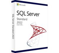 Microsoft SQL Server 2025 User 1 CAL