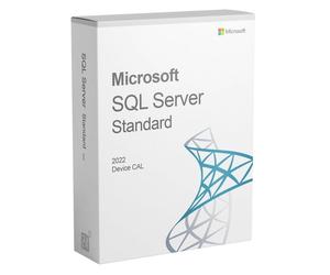 Microsoft SQL Server Standard 2022 a VITA