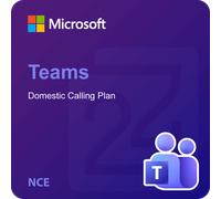 Microsoft Teams Domestic Calling Plan (120 min) (NCE)