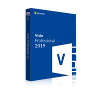 Microsoft Visio 2019 Professional 2 x 1 - per 2 dispositivi