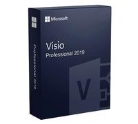 Microsoft Visio Professional 2019 ESD - Windows