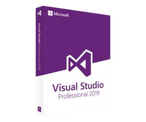Microsoft Visual Studio 2019 Professional