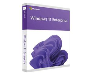 Microsoft Windows 11 Enterprise - Attivazione Online - Licenza a Vita