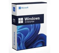Microsoft Windows 11 Enterprise LTSC Upgrade Aggiornamento Windows 11 Enterprise LTSC stabile a lungo termine senza aggiornamenti di funzionalità