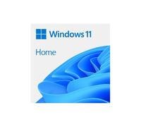 Windows 10/11 Home