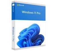Microsoft Windows 11 Pro 1 licenza/e