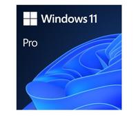 Microsoft Windows 11 Pro Esd All Lang FQC-10572