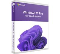 Microsoft Windows 11 Pro for Workstations IT