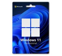 Microsoft Windows 11 Professional 1 PC | OEM - Attivazione online