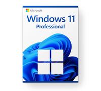 Microsoft Windows 11 Professional