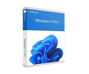 MICROSOFT WINDOWS 11 PROFESSIONAL