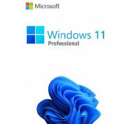 Microsoft Windows 11 Professional Key GLOBAL