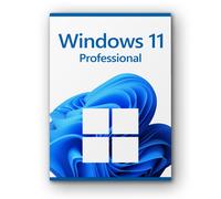 Microsoft Windows 11 Professional Licenza per 1 PC