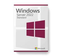 Microsoft Windows Server 2022 Standard