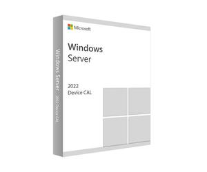 Microsoft Windows Server 2022 Standard Device CAL ESD - 10 Licenze Microsoft
