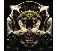 Midlake - Courage Of Others
